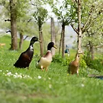 Am Siglhof Lägenhet Samerberg