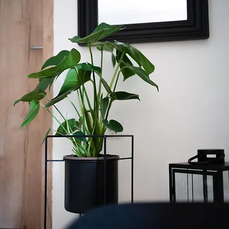 Apartmán Am Siglhof
